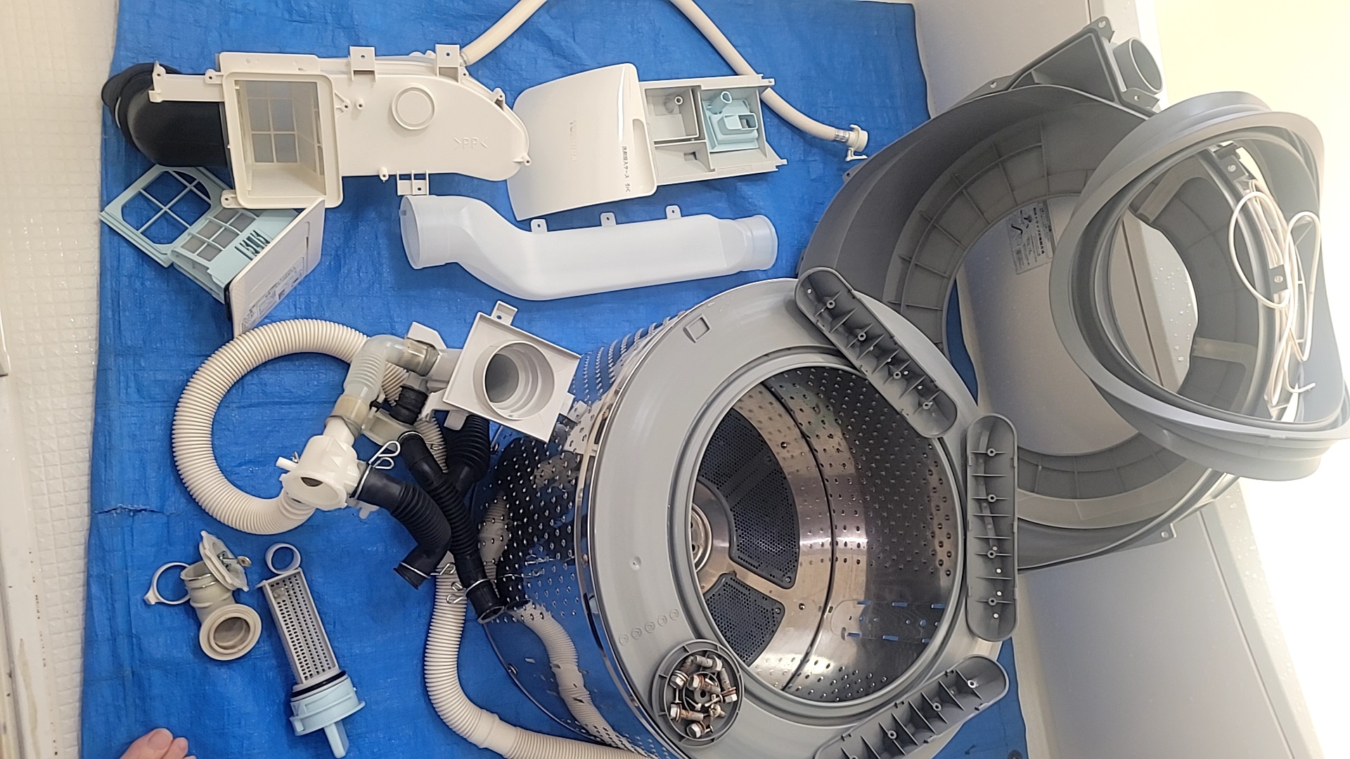 桑名市東芝ドラム洗濯機分解フルクリーニング